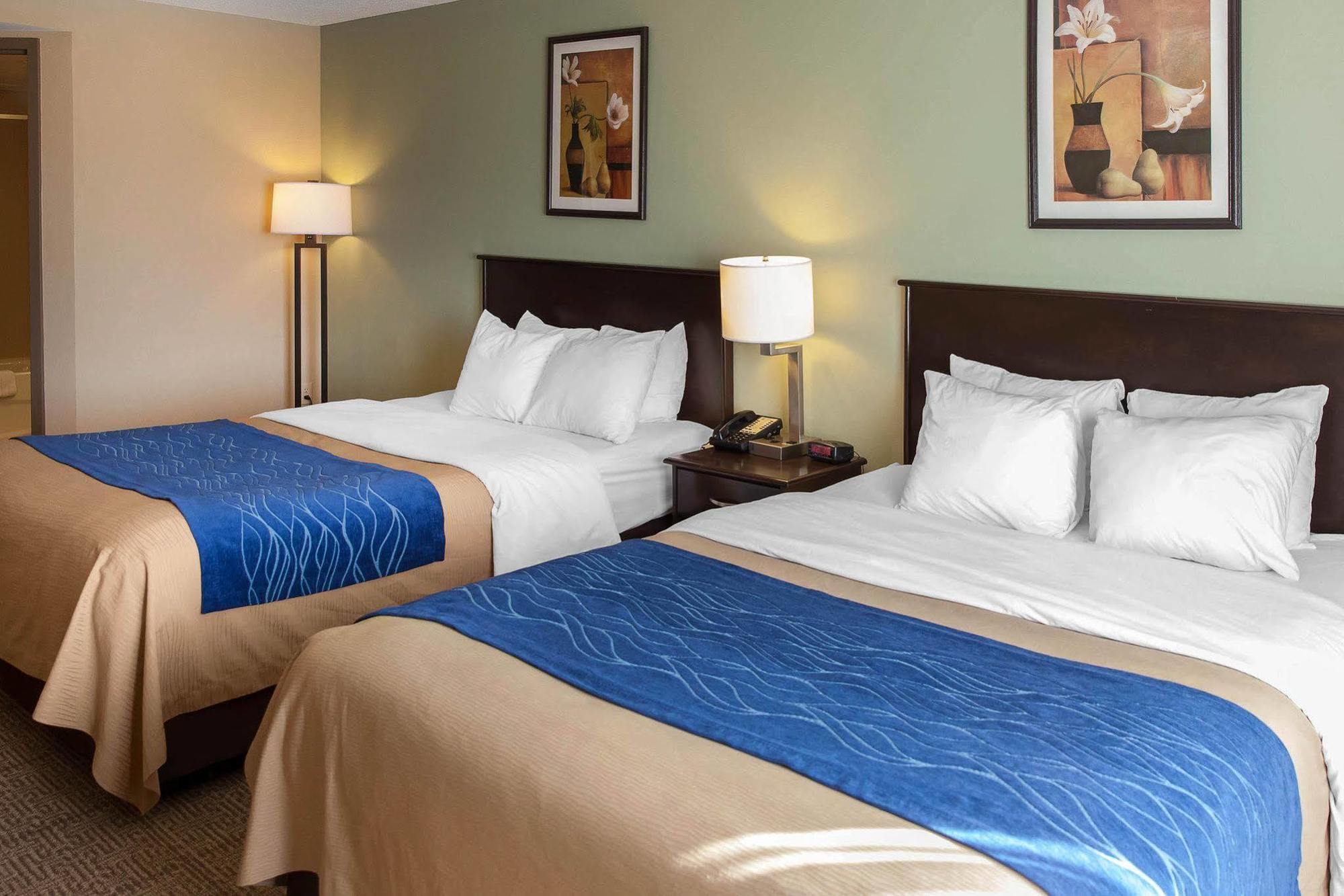 Comfort Inn Near Quantico Main Gate North Dumfries Zewnętrze zdjęcie